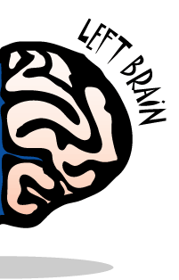 brainleft